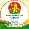 85 năm Thành lập Đội TNTP HCM