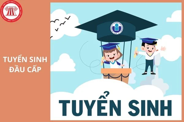 TUYỂN SINH ĐẦU CẤP NĂM HỌC 2026 - 2027